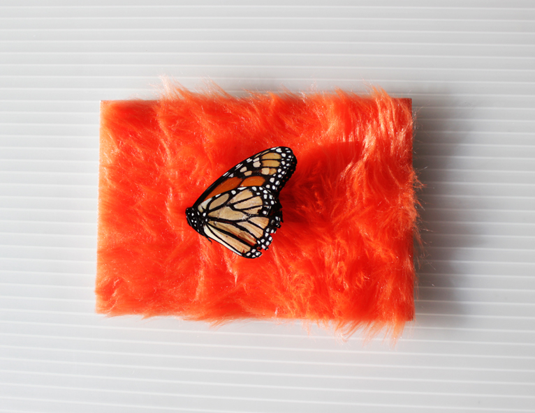 butterflyaltar