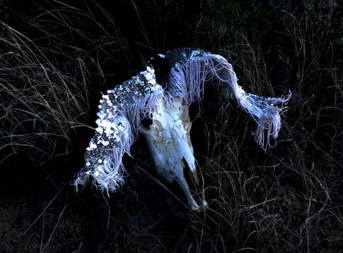 skullx