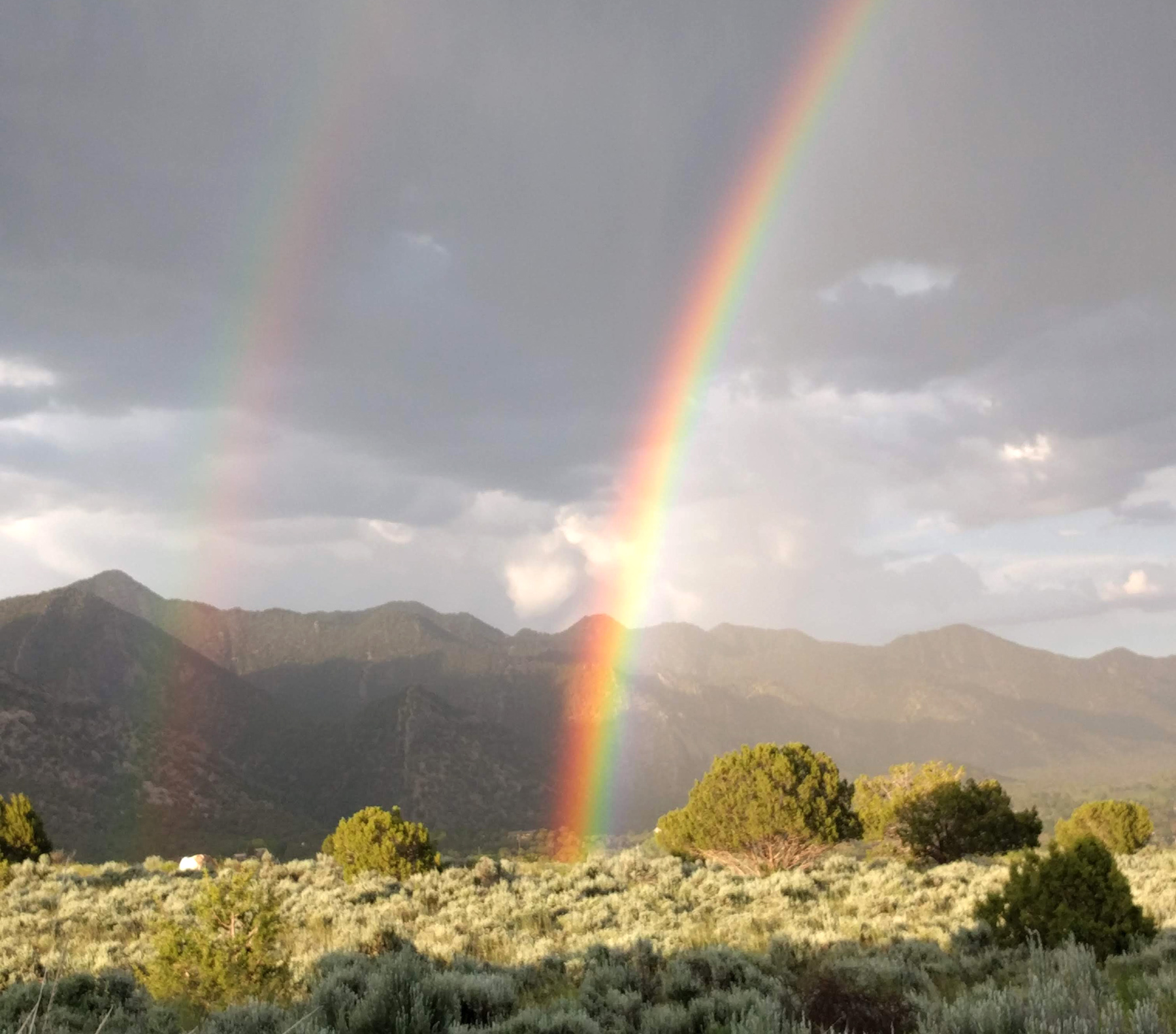 rainbow-1800